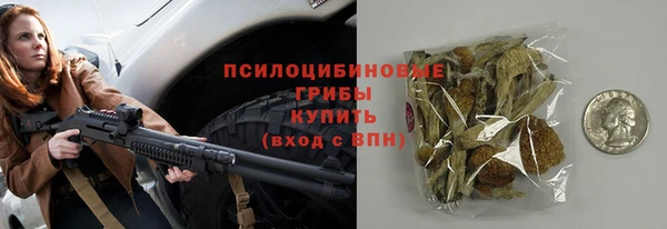 сатива Коряжма