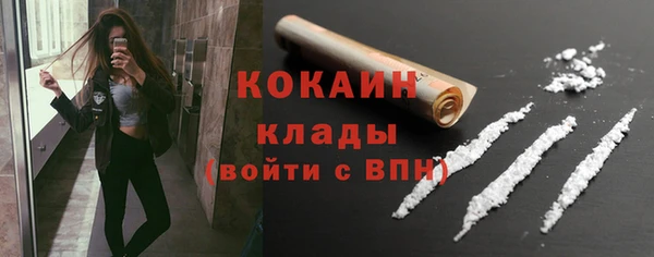 сатива Коряжма