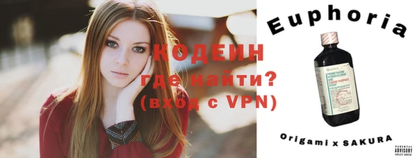 сатива Коряжма