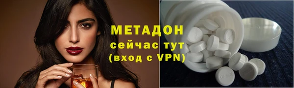 сатива Коряжма