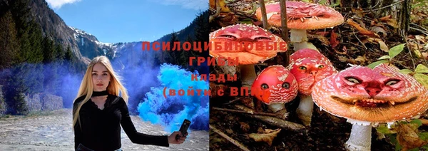 меф Корсаков