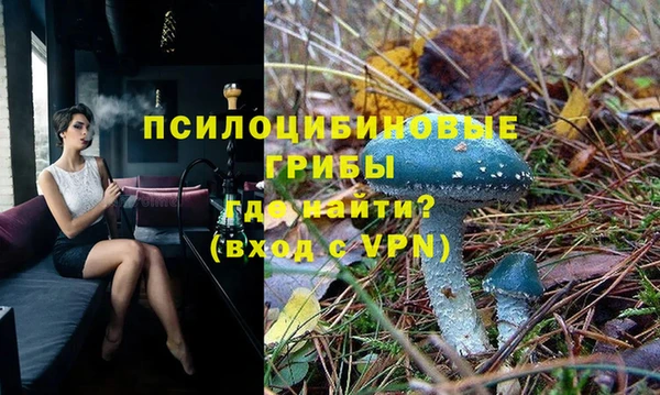 стафф Костерёво