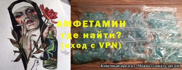 сатива Коряжма