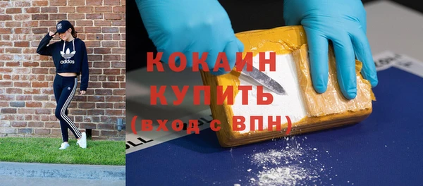 сатива Коряжма