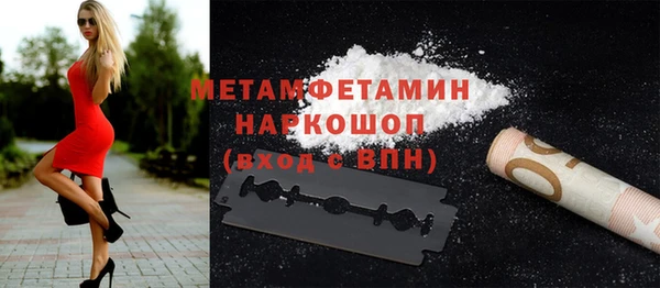 сатива Коряжма