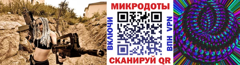 Купить  Аркадак  Галлюциногенные грибы ЛСД 